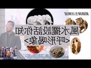 蟾蜍 風水